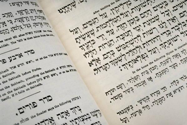 פרשת "בשלח" – תודה רבה! | ניר אביעד