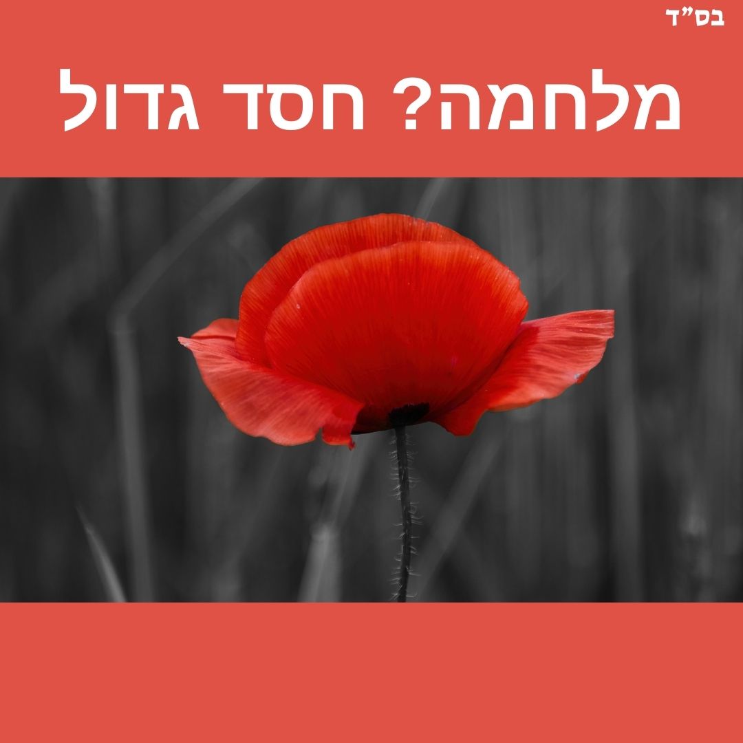 פרח אדום עם גבעול שחור על רקע אפור שחור עם פסים אדומים למעלה ולמטה עם הכיתוב: מלחמה? חסד גדול