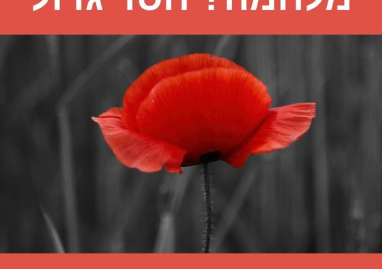 פרח אדום עם גבעול שחור על רקע אפור שחור עם פסים אדומים למעלה ולמטה עם הכיתוב: מלחמה? חסד גדול