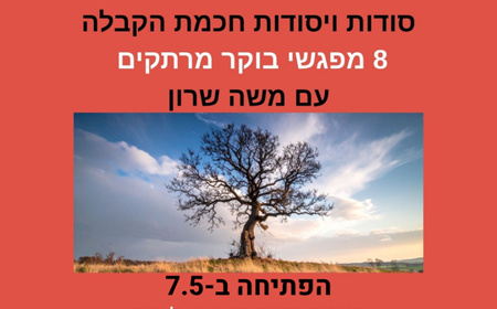 עץ ברקע שמיים