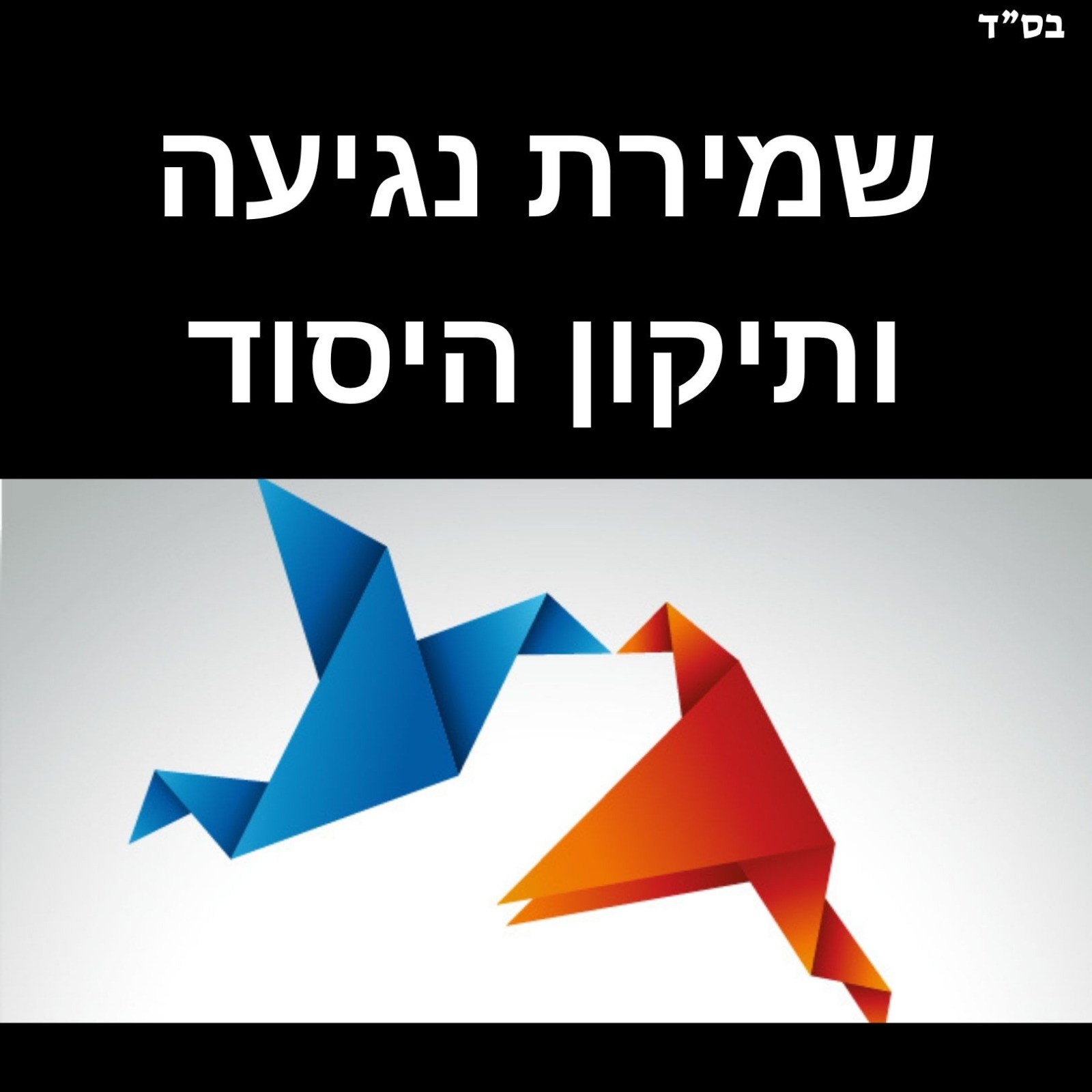 שמירת נגיעה ותיקון היסוד