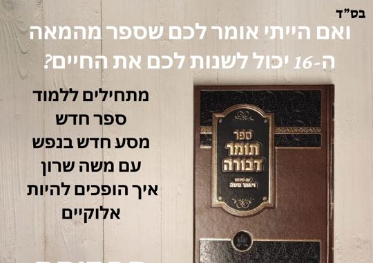 תומר דבורה