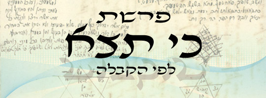 פרשה עם שליחות | כי תצא | משה שרון