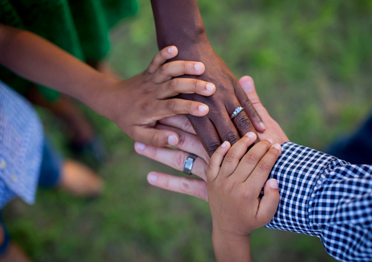 רקע של דשא, מבט מלמעלה, 4 אנשים שמים ידיים אחת על השניה ביחד, ידיים ממגוון גדלים וצבעים