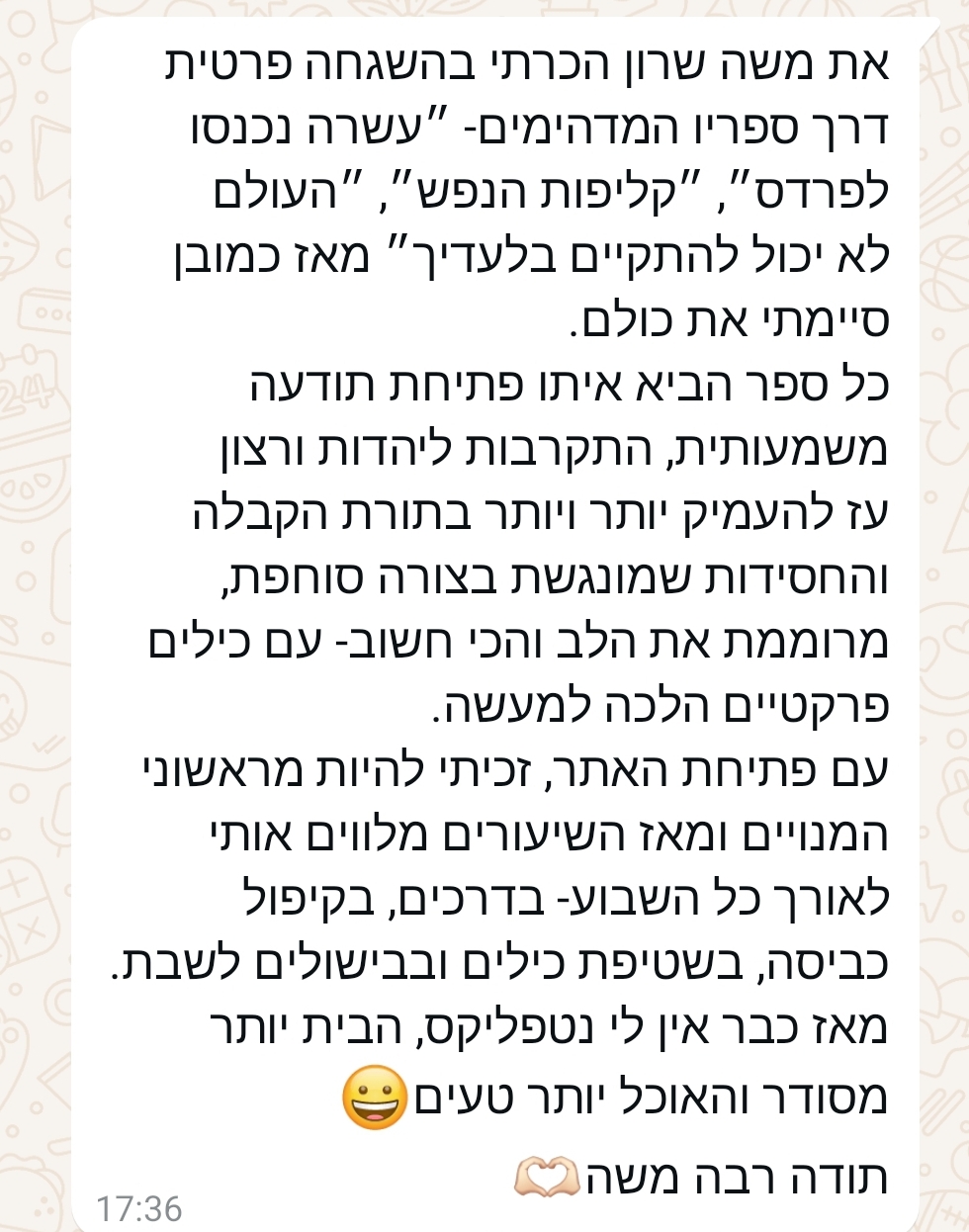 המלצה 2
