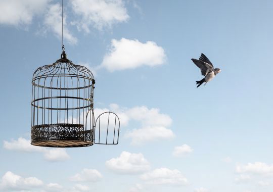 כלוב פתוח שיצא ממנו איש עם כנפיים ברקע שמיים ועננים