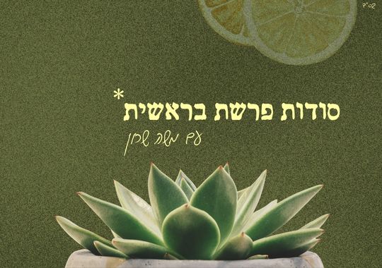 סודות פרשת בראשית