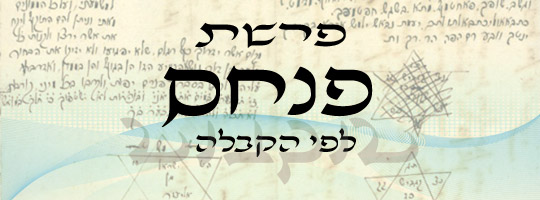 פרשה עם שליחות | פנחס | משה שרון