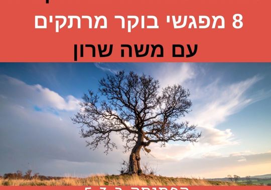 עץ עם רקע של שמיים ועננים ולמעלה ולמטה פסים אדומים עם הכיתוב: סודות ויסודות חכמת הקבלה 8 מפגשי בוקר מרתקים עם משה שרון הפתיחה ב 5.3 סינמה סיטי ראשון לציון