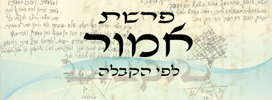 פרשה עם שליחות | אמור | משה שרון